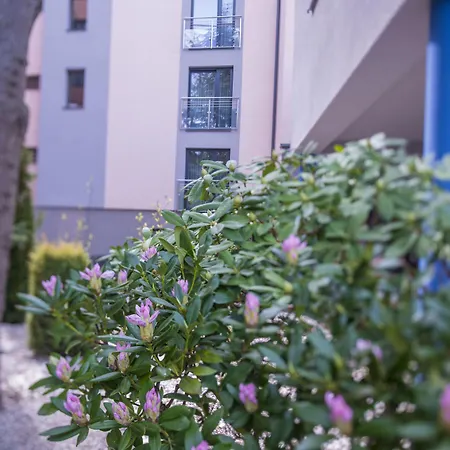 Seapark Wellness & Kolobrzeg