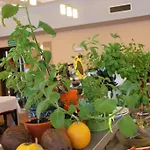 Hotel Seapark Wellness&spa Kolberg